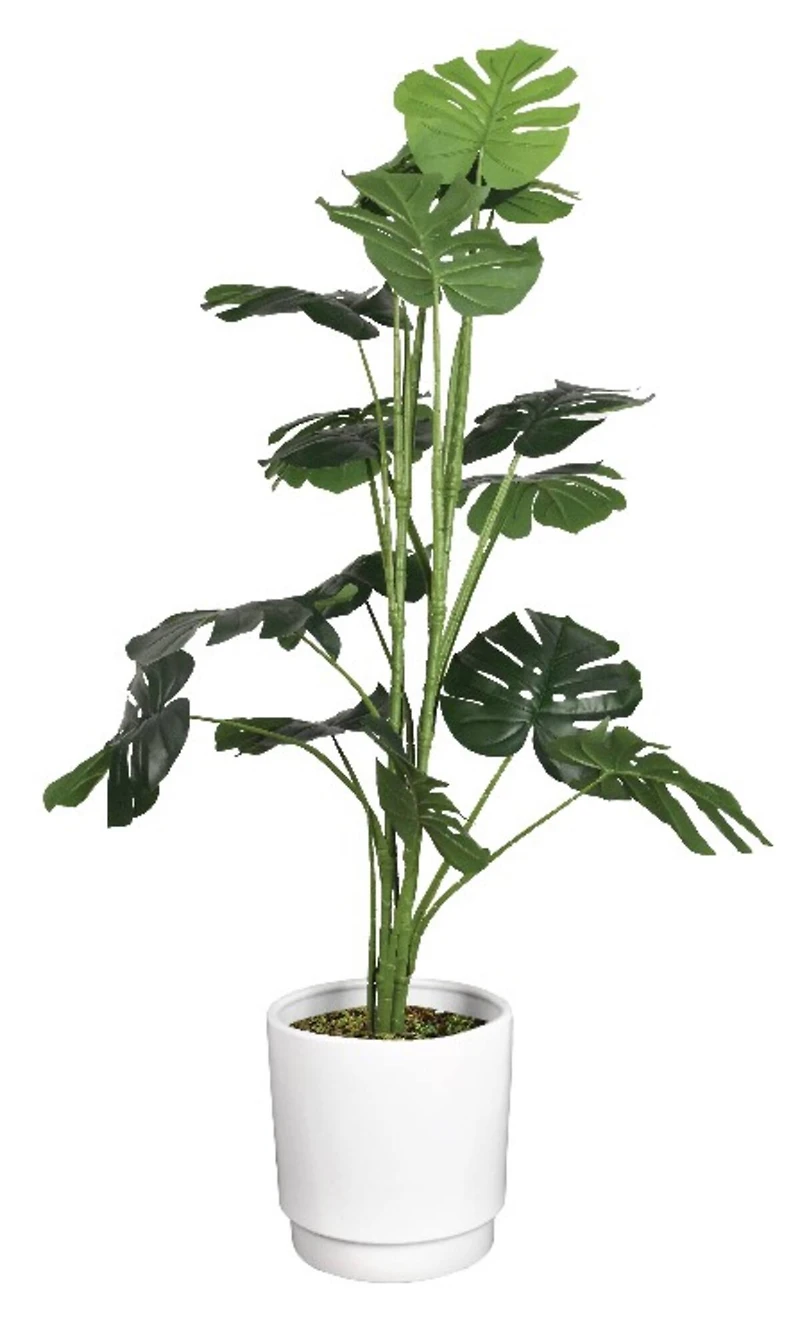 American Art Decor 4ft. Monstera Tree in White Ceramic Pot