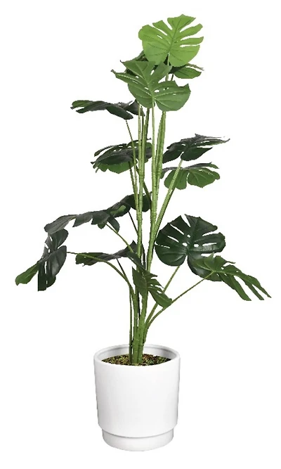American Art Decor 4ft. Monstera Tree in White Ceramic Pot