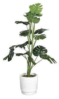 American Art Decor 4ft. Monstera Tree in White Ceramic Pot