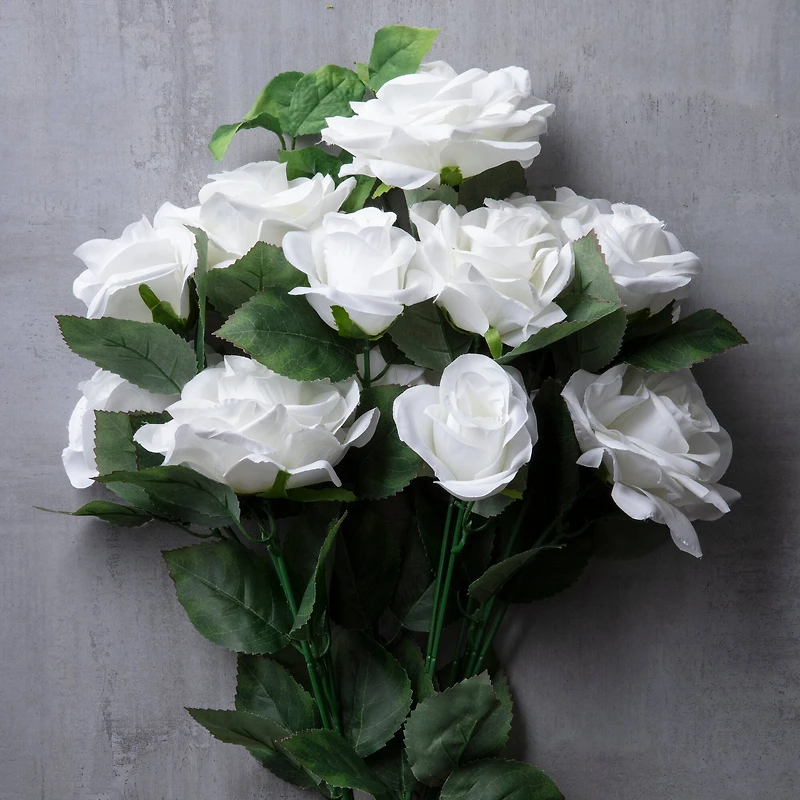 12 Pack: White Rose Bush by Ashland®