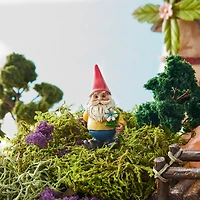 Miniature Gnome with White Daisy by Make Market®