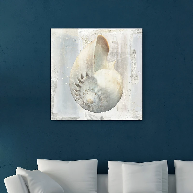 Shells I Canvas Giclee