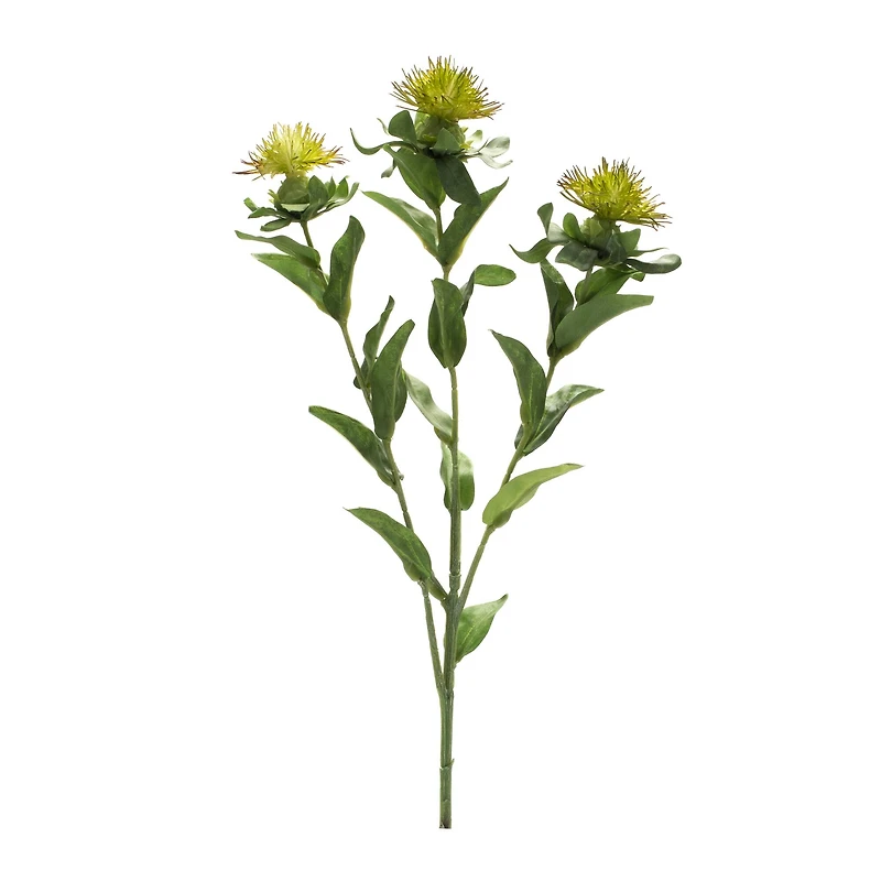 Green Thistle Spray, 6ct.