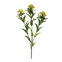 Green Thistle Spray, 6ct.