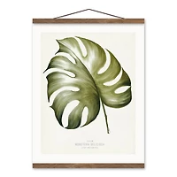 Designs Direct Monstera Deliciosa Teak Hanging Canvas