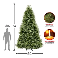 14ft. Unlit Dunhill® Hinged Fir Full Artificial Christmas Tree