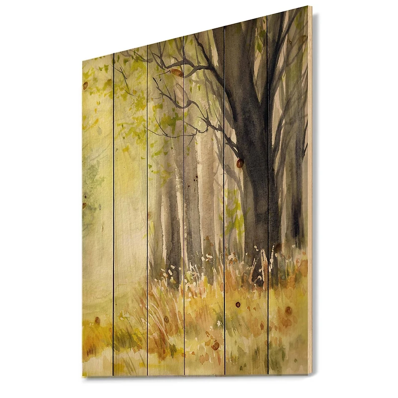 Designart - Bright Sunshine Through The Forest Trees II