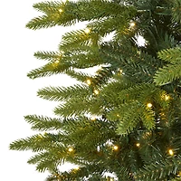 9ft. Pre-Light Belgium Fir Artificial Christmas Tree, Clear LED Lights