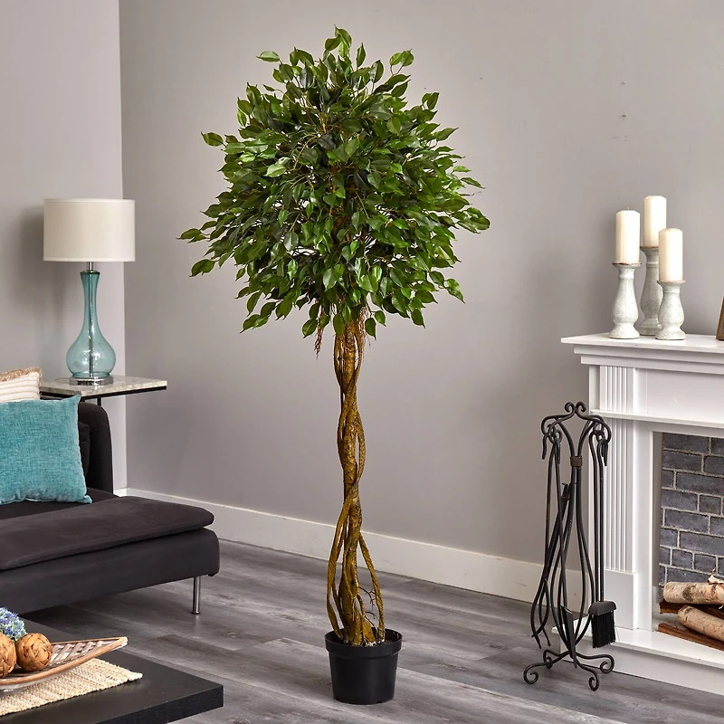 4ft. Potted Woven Trunk Ficus Tree