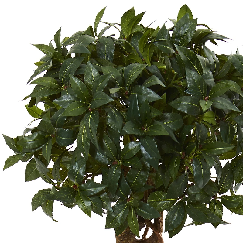 4.5ft. Sweet Bay Double Topiary Tree in Black Planter