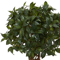 4.5ft. Sweet Bay Double Topiary Tree in Black Planter