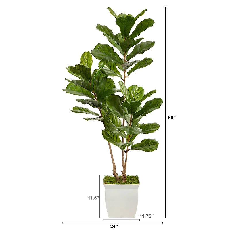 5.5ft. UV Resistant Fiddle Leaf Tree in White Metal Planter