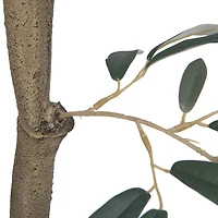 8ft. Potted Olive Tree