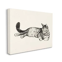 Stupell Industries Sleeping Striped Cat Minimal Relaxed Pet Canvas Wall Art