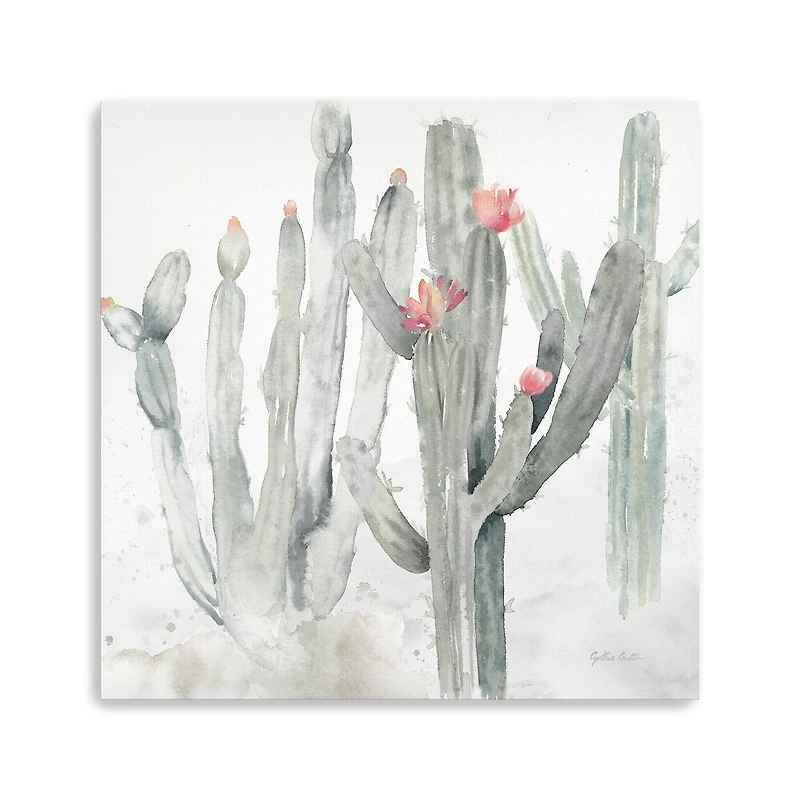 Cactus Garden Gray Blush II Canvas Giclee