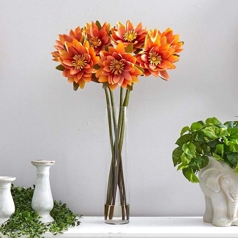 2.5ft. Coral Lotus Arrangement in Cylinder Vase