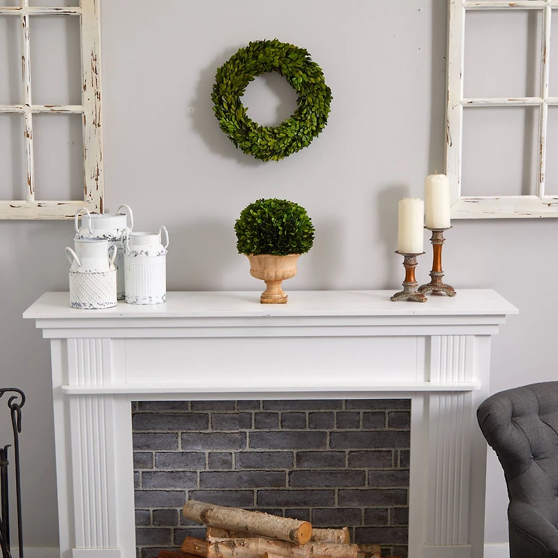 12in. Boxwood Topiary Ball in Decorative Urn