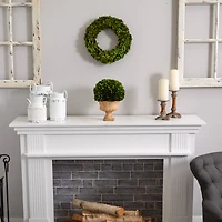 12in. Boxwood Topiary Ball in Decorative Urn