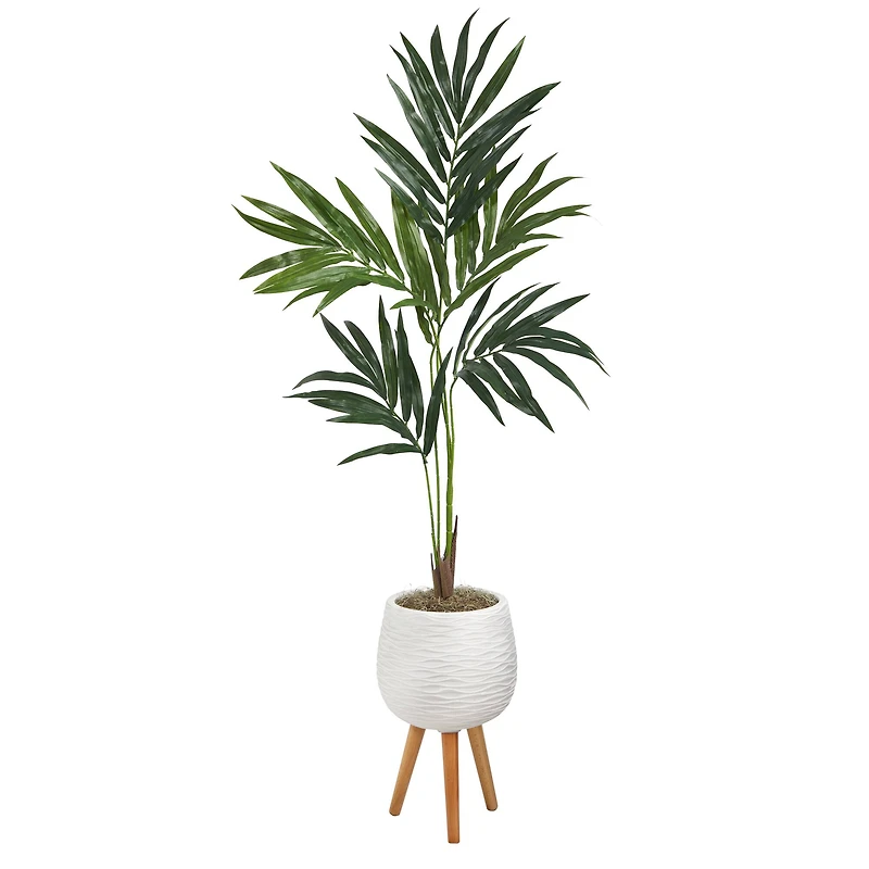 5ft. Kentia Palm Tree in White Planter with Stand