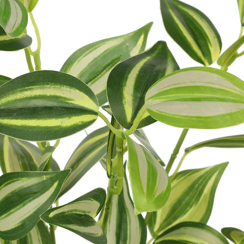 18.5" Inchplant by Ashland®