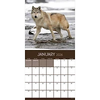 2026 Wolves Wall Calendar