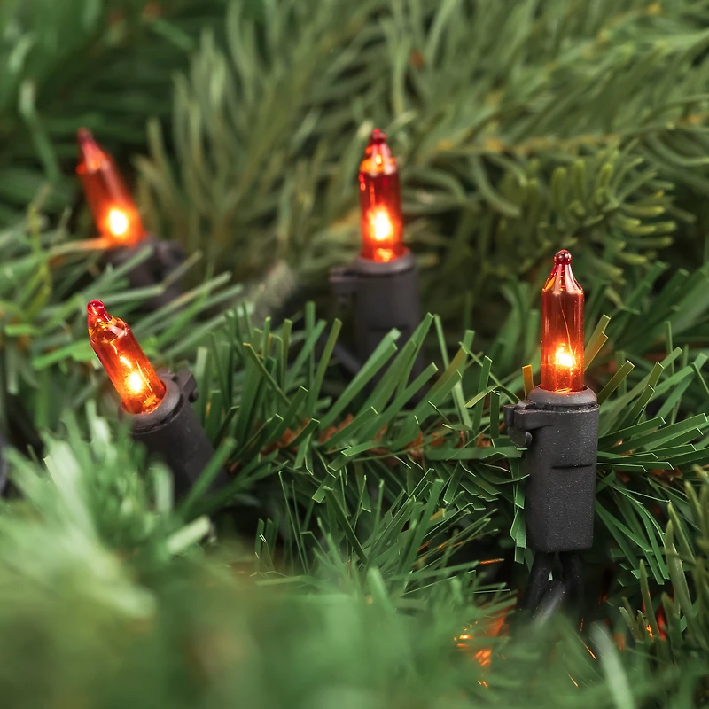 50ct. Mini Christmas String Lights with Black Wire
