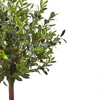 4.5ft. Olive Topiary Tree with Farmhouse Barrel Planter