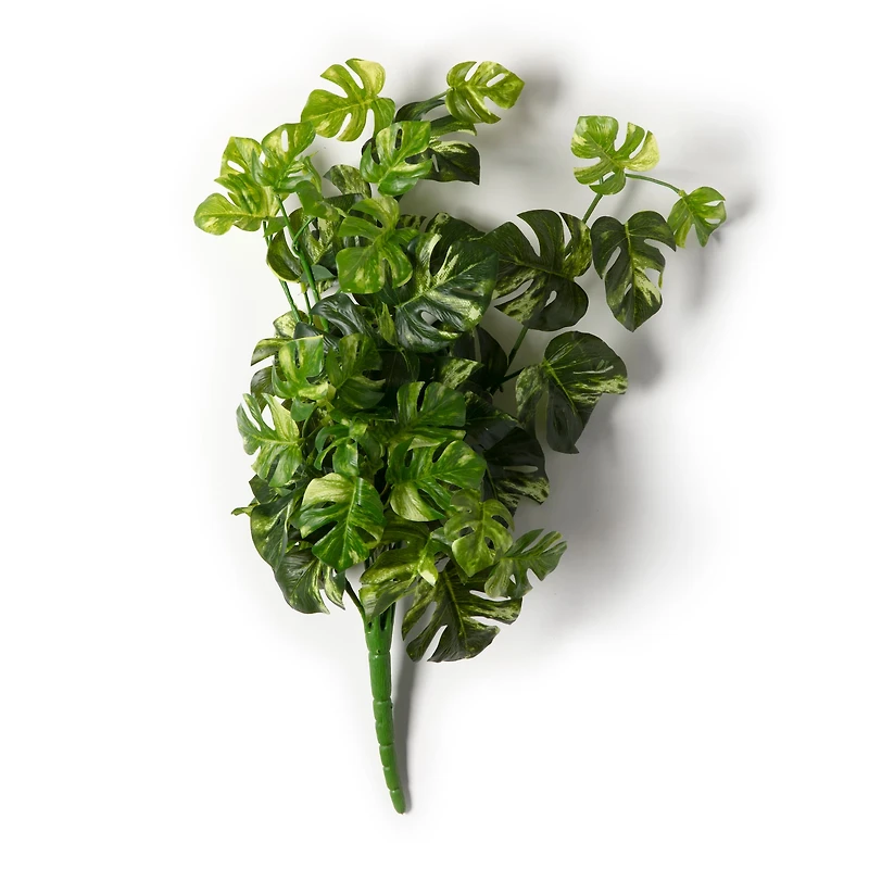 12 Pack: Split Hanging Philo Bush by Ashland®