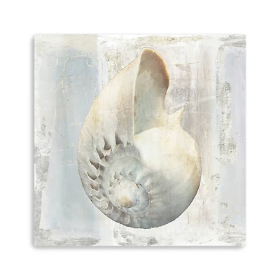 Shells I Canvas Giclee