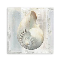 Shells I Canvas Giclee