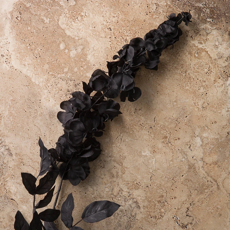 Black Wisteria Stem by Ashland®