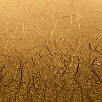 Cricut® Dark Metals Premium Permanent Textured Metallic Vinyl