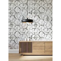 Katie Hunt Dove Gray Hex-A-Gone Wall Mural