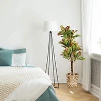 American Art Decor 4ft. Croton Tree in Water Hyacinth Woven Basket