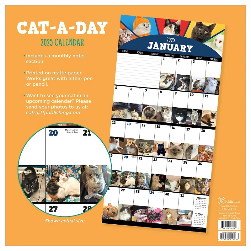 TF Publishing 2025 Cat-a-Day Wall Calendar