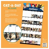 TF Publishing 2025 Cat-a-Day Wall Calendar