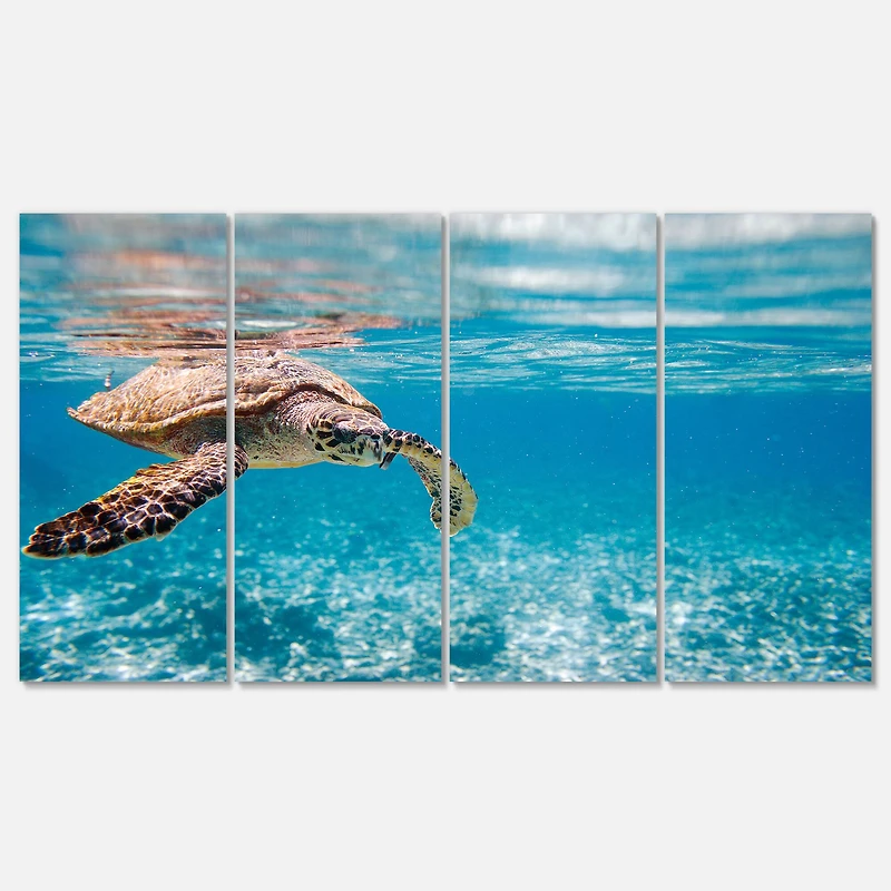 Designart - Large Hawksbill Sea Turtle