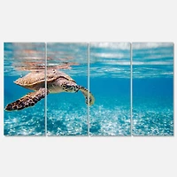 Designart - Large Hawksbill Sea Turtle