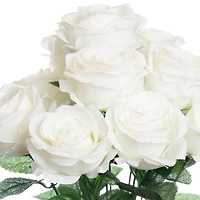 Cream Rose Bush by Ashland®