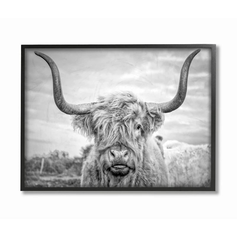 Stupell Industries Black & White Highland Cow Wall Art in Black Frame
