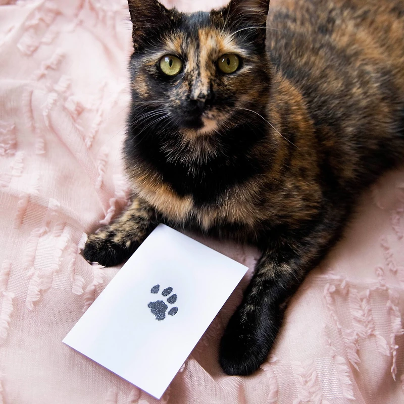 Pearhead Clean-Touch Ink Pad