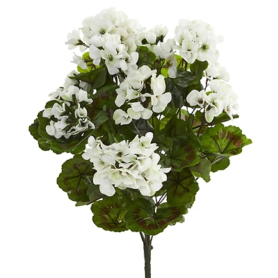 White Geranium Bush, 3ct.