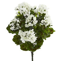White Geranium Bush, 3ct.