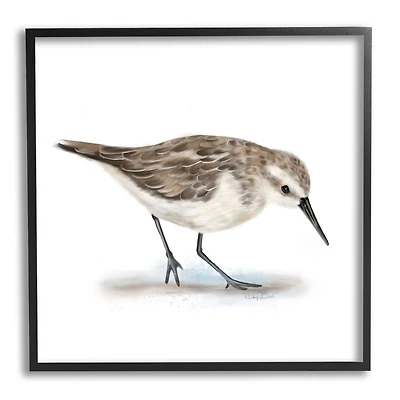 Stupell Industries Charming Sandpiper on Soft Sand Brown Nautical Bird in Frame Wall Art