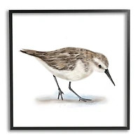 Stupell Industries Charming Sandpiper on Soft Sand Brown Nautical Bird in Frame Wall Art