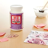Mod Podge® Hard Coat