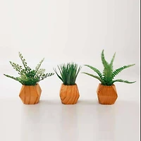 TF Publishing 7" Ferns and Grass in Mid-Century Geometric Pots, 3ct.