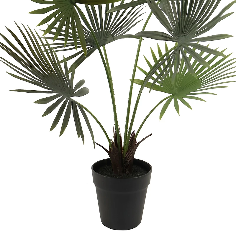 24" Potted Green Fan Palm Plant by Ashland®