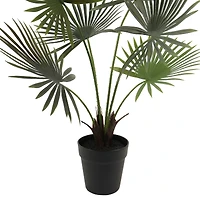 24" Potted Green Fan Palm Plant by Ashland®