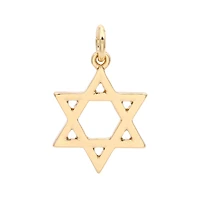 14K Gold Plated Star of David Charm by Bead Landing™
